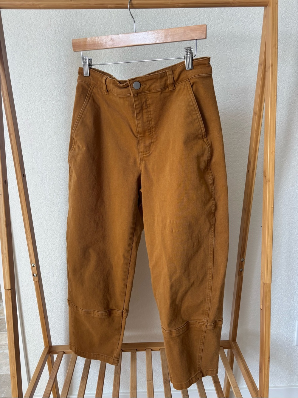 Everlane Canvas Barrel Pants in Rust Brown